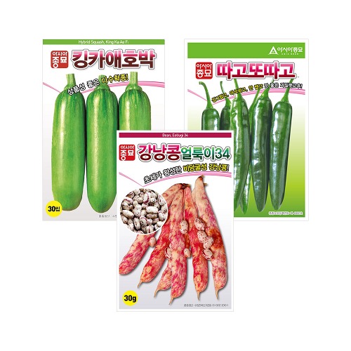채소 씨앗 3종 - 고추, 강낭콩, 애호박 (중복 선택 가능)